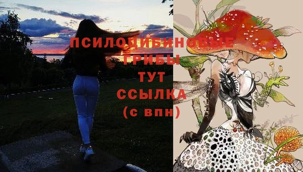 герыч Абдулино