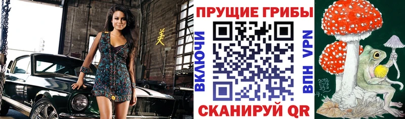 Псилоцибиновые грибы Psilocybine cubensis  Новотроицк 