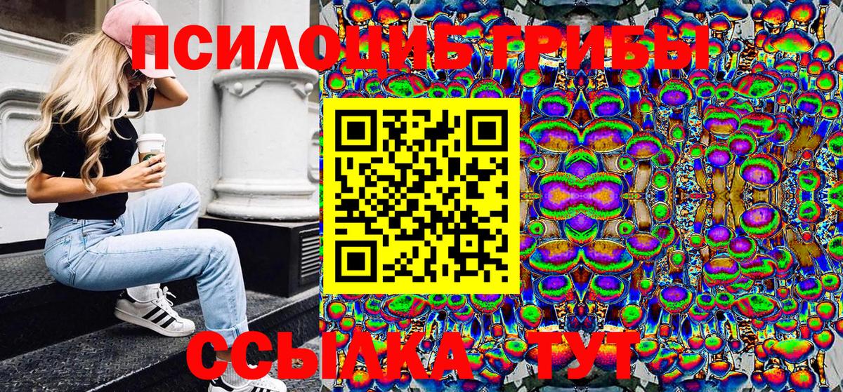 Новотроицк  закладки  Вход с VPN  Галлюциногенные грибы GOLDEN TEACHER 