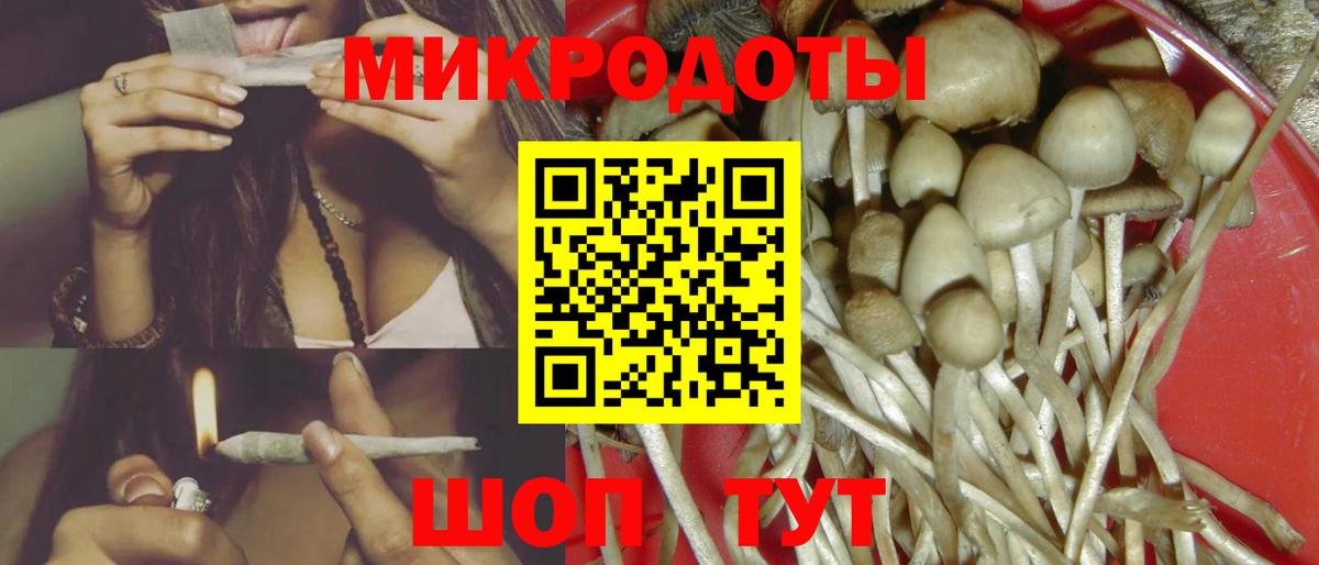 Псилоцибиновые грибы мухоморы Новотроицк